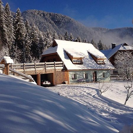 La Lince Lodge Camporosso  ภายนอก รูปภาพ