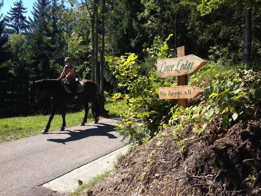 La Lince Lodge Camporosso  ภายนอก รูปภาพ