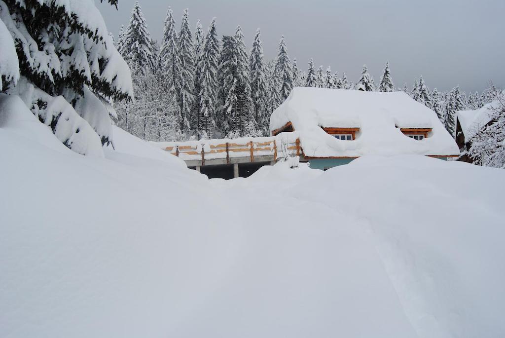 La Lince Lodge Camporosso  ภายนอก รูปภาพ